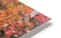 Last Autumn HD Metal print