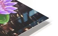 Waterlilies  HD Metal print