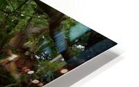 Magnolia dreaming HD Metal print