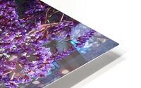 Afternoon Light HD Metal print