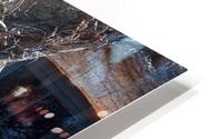 Winter I HD Metal print