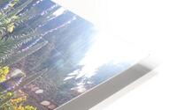 Dads Place IV HD Metal print
