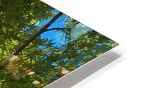 Umbrella IV HD Metal print