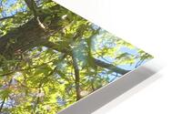 Green HD Metal print