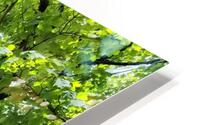 Aussie Hamptons  HD Metal print