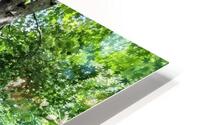 Pretty Path II HD Metal print