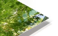 Stunning HD Metal print