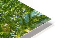 Networks HD Metal print