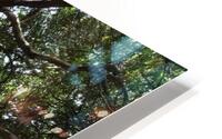 A Bench to Remember HD Metal print