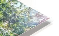 Magic HD Metal print