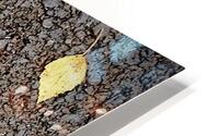 Autumn Yellow HD Metal print