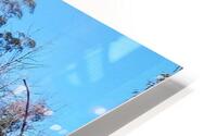 Another World V HD Metal print