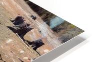 Another World II HD Metal print