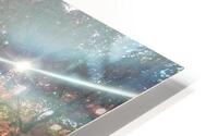 Maple Light V HD Metal print