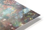 Maple Light IV HD Metal print