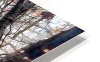 Foggy Frame HD Metal print