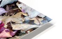 1000003929 HD Metal print