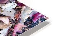 1000003927 HD Metal print