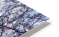 Foggy HD Metal print