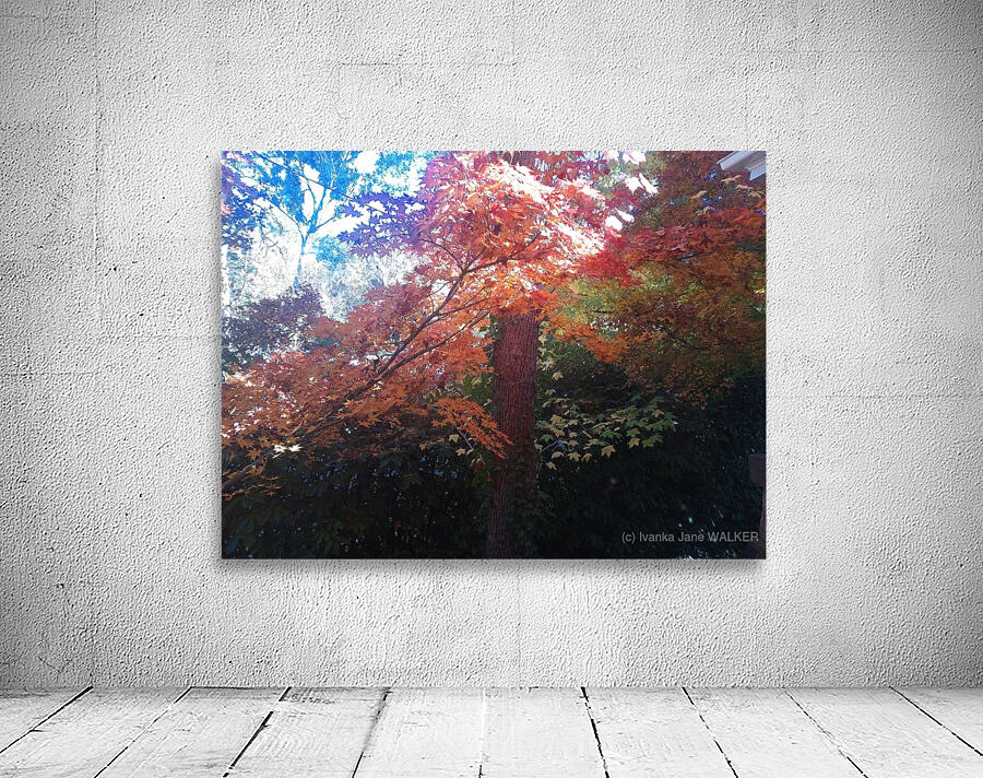 Ethereal Series 4 Wall Preview