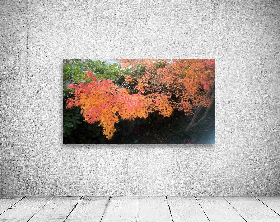 Last Autumn Wall Preview