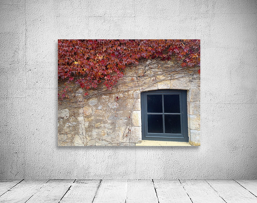 Vine 4 Wall Preview