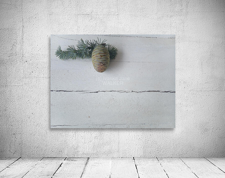Blue Cedar Pine Wall Preview