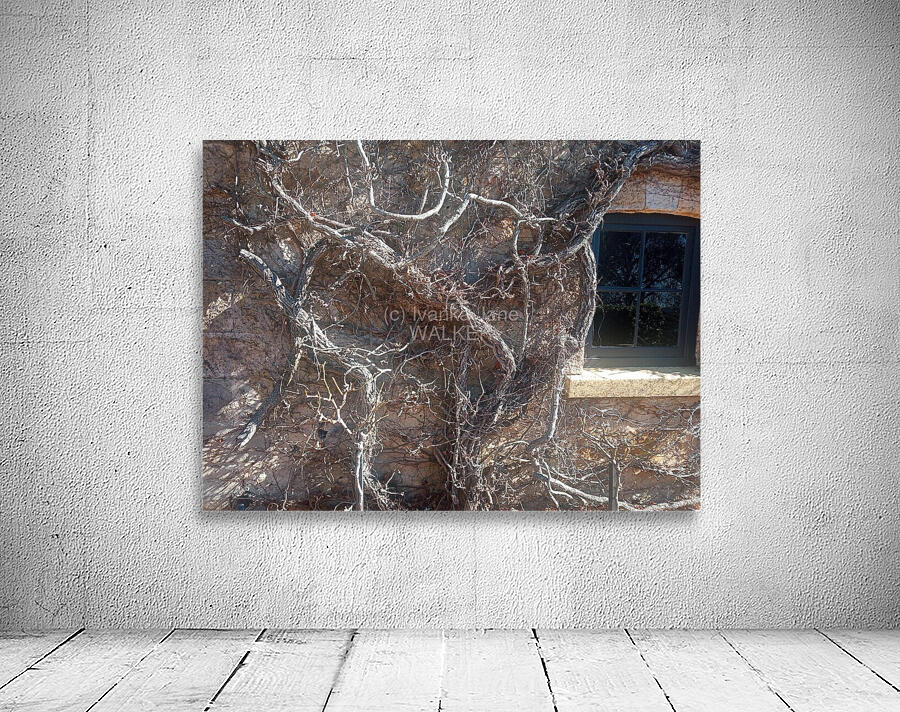 Winter I Wall Preview