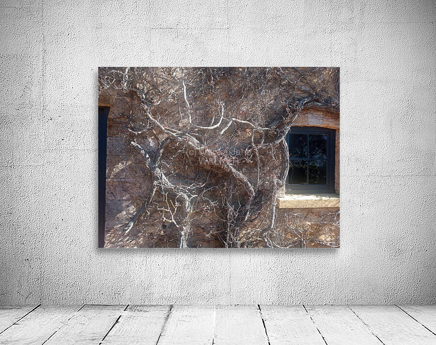 Winter II Wall Preview