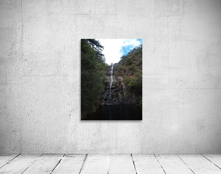 Waterfall Gully II Wall Preview