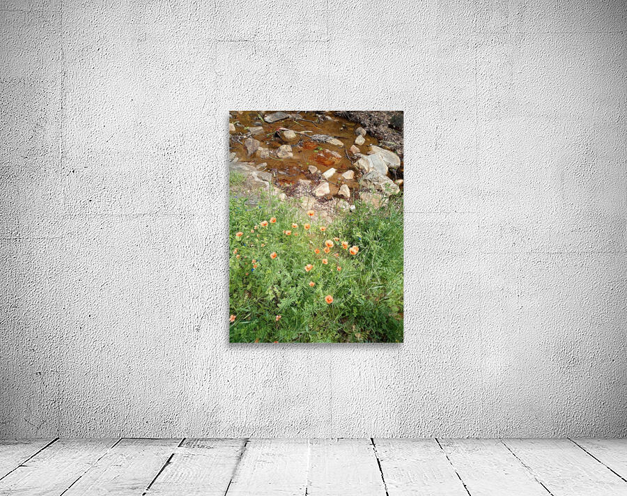 Poppies & Rust Wall Preview