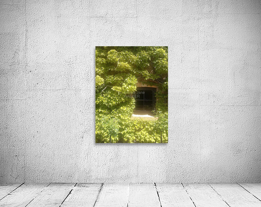 Spring Vines Wall Preview