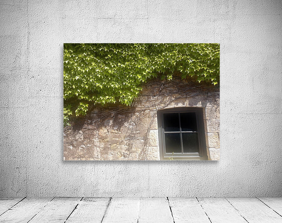Spring Vines II Wall Preview