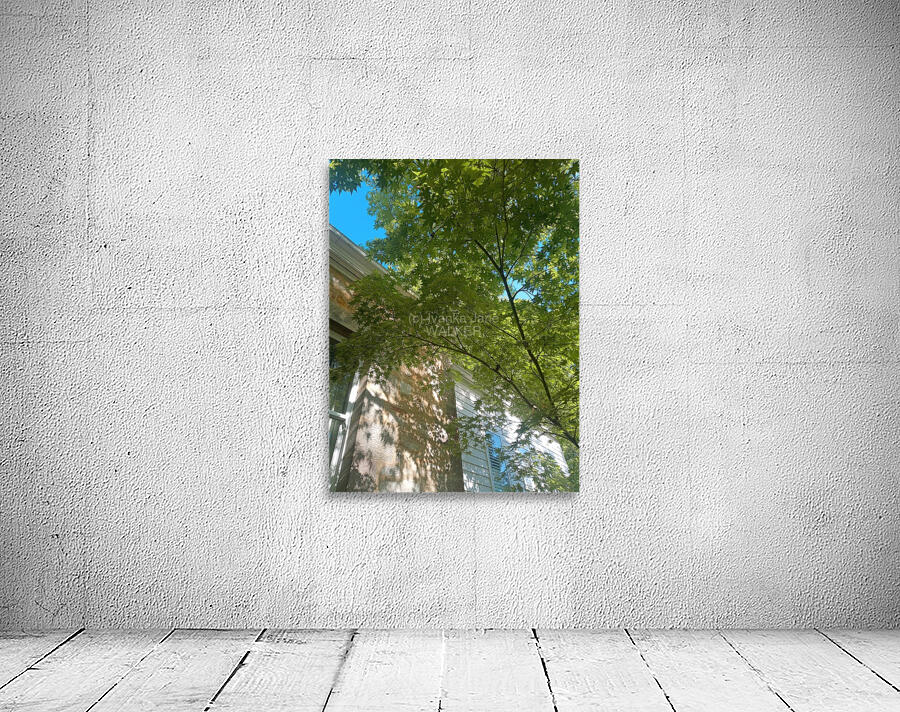Umbrella II Wall Preview
