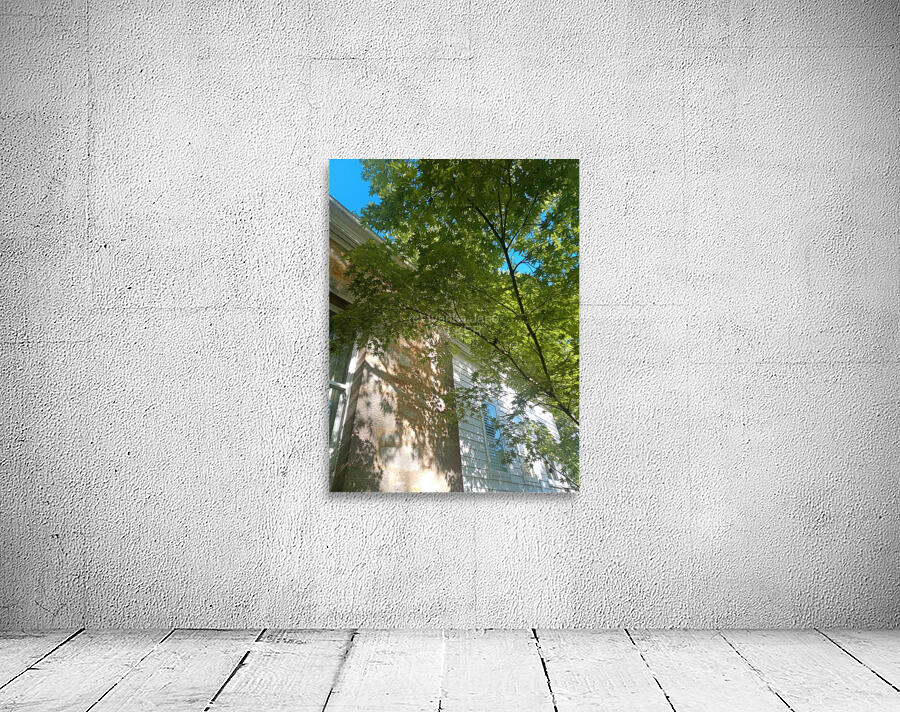 Umbrella III Wall Preview