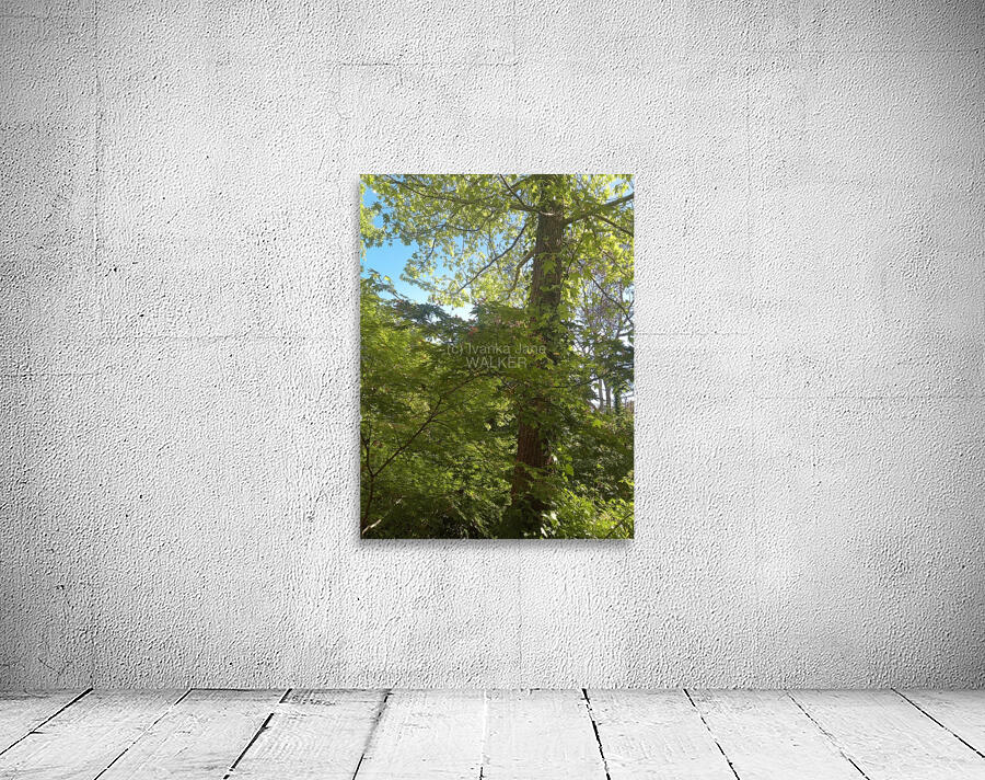 Green Wall Preview