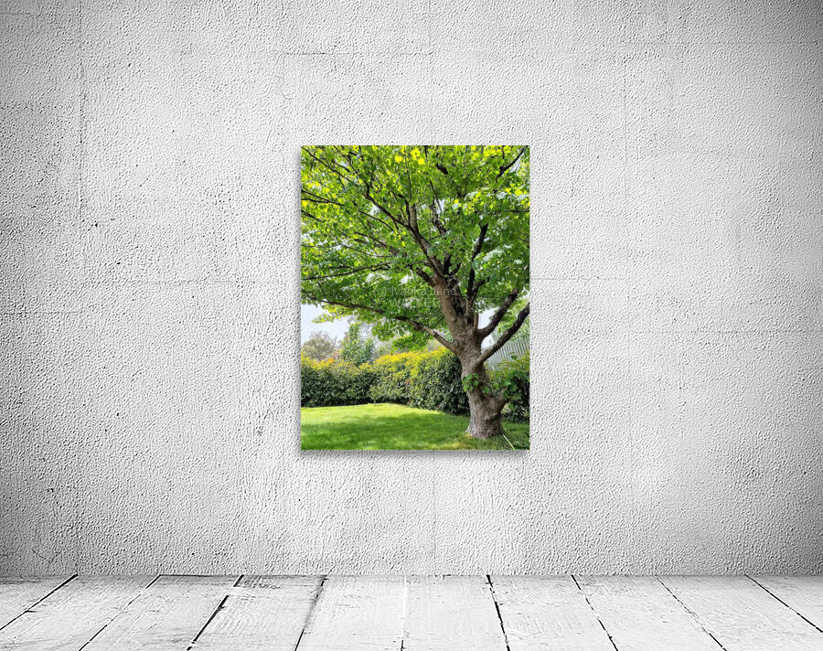 Aussie Hamptons  Wall Preview