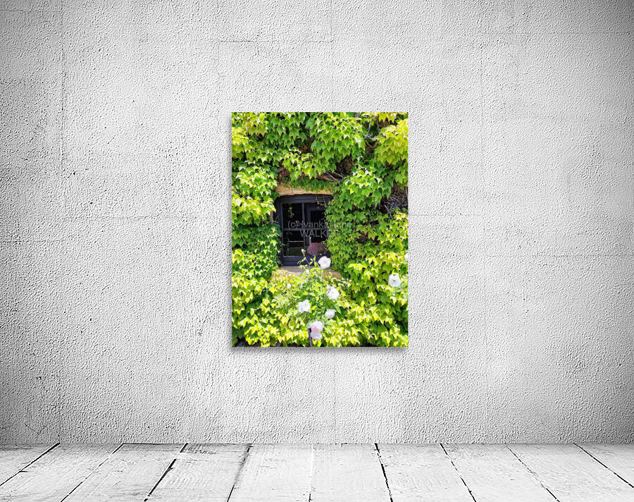 Spring Vines IV Wall Preview