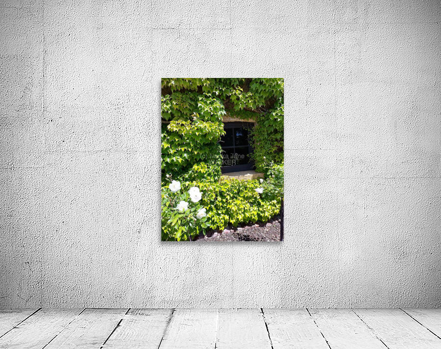 Spring Vines V Wall Preview