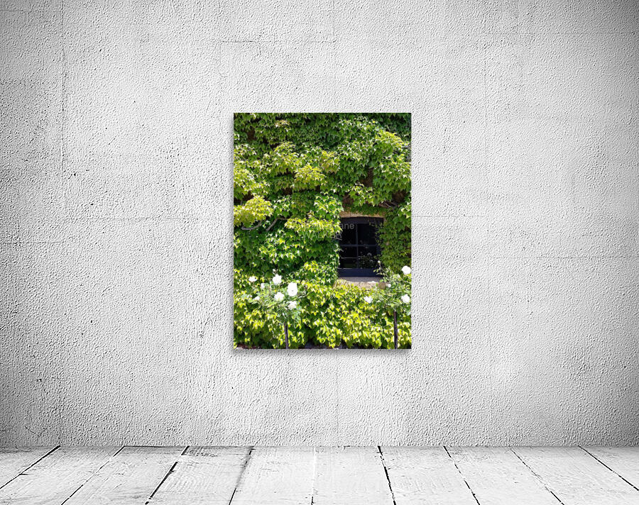 Spring Vines VI Wall Preview
