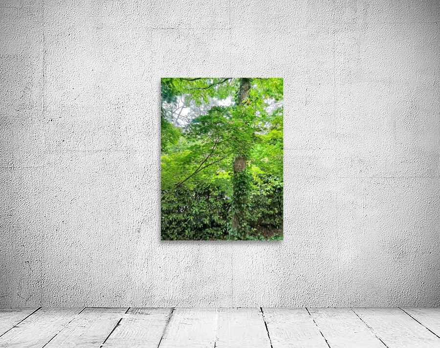 Green Leaves Wall Preview