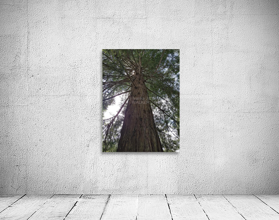 Stand Tall Wall Preview