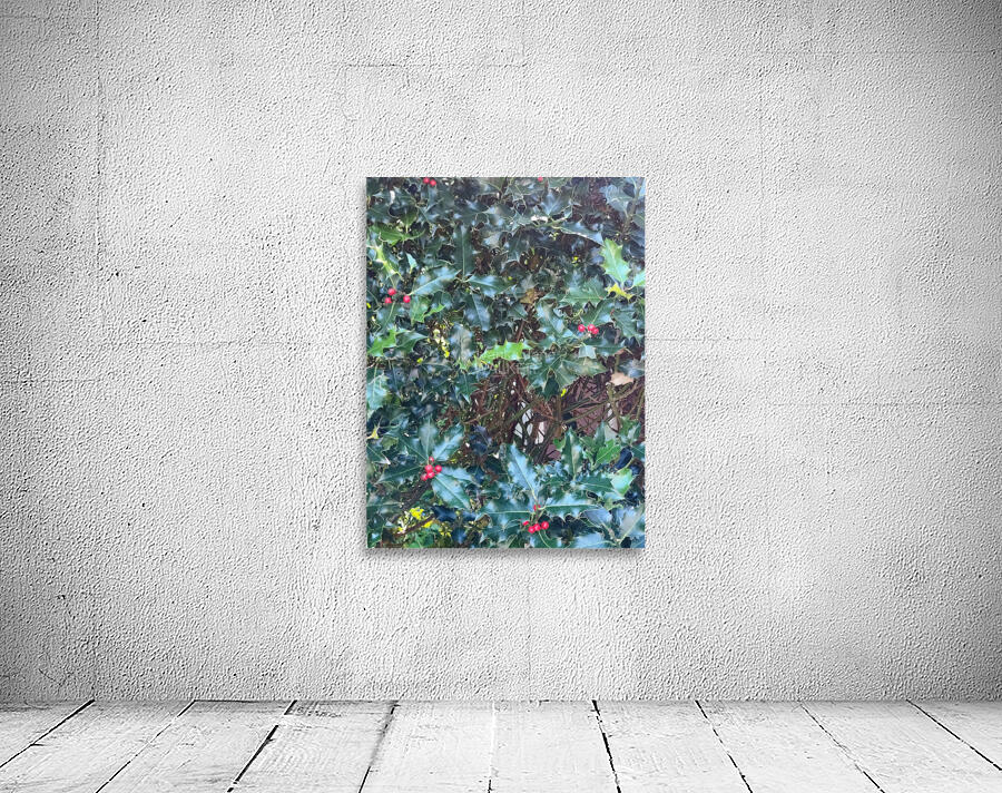 Holly Wall Preview