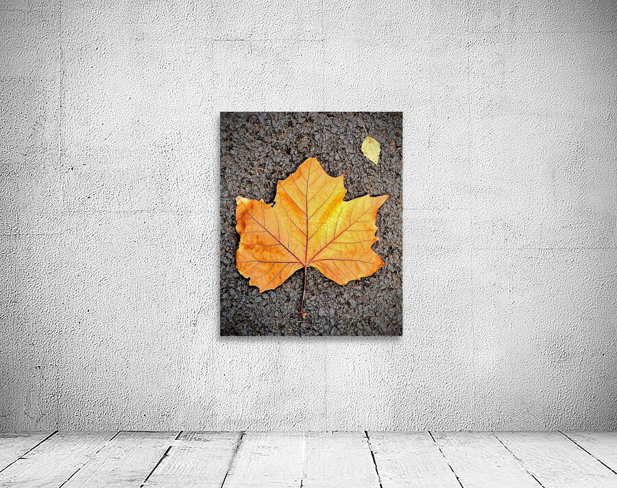 Autumn Yellow Wall Preview