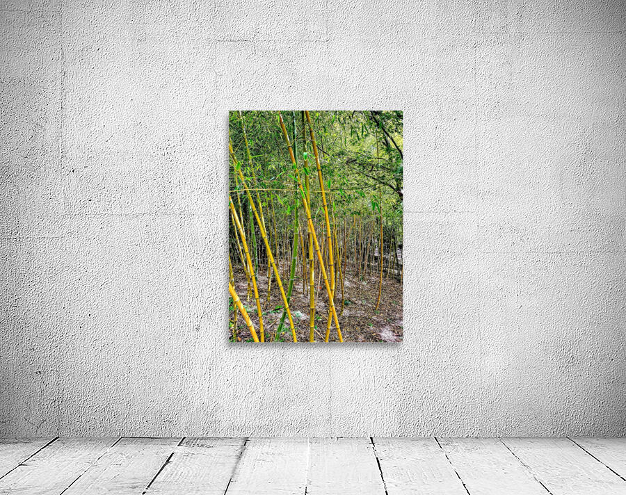 Bamboo Legs Wall Preview