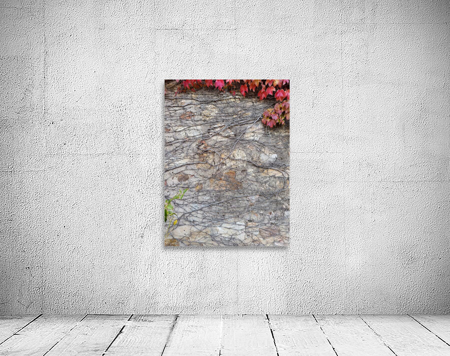 Tendrils Wall Preview