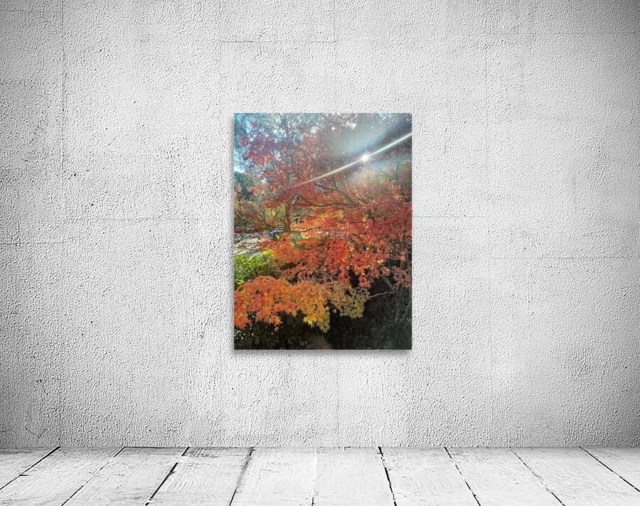 Maple Light V Wall Preview