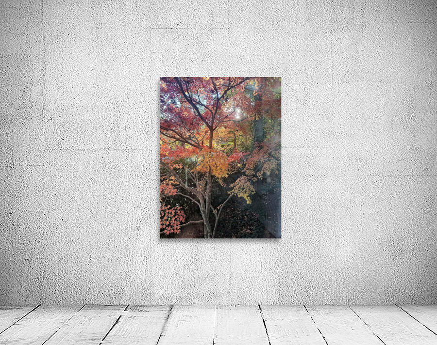 Maple Light III Wall Preview