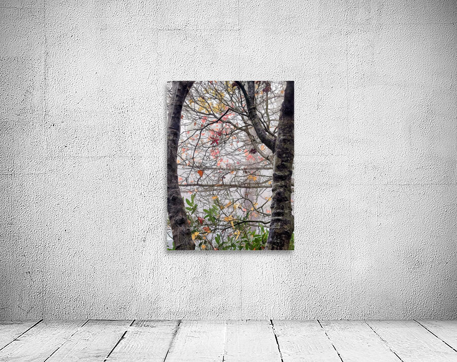 Foggy Frame Wall Preview