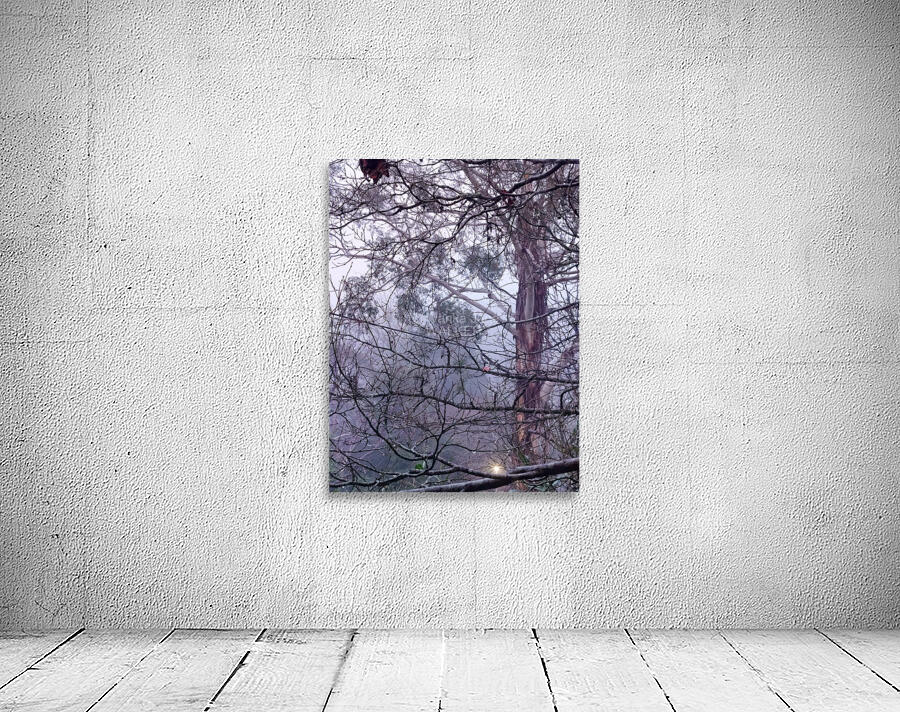 Foggy II Wall Preview